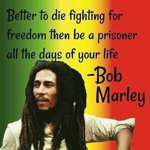 Meet your Posher, Osman